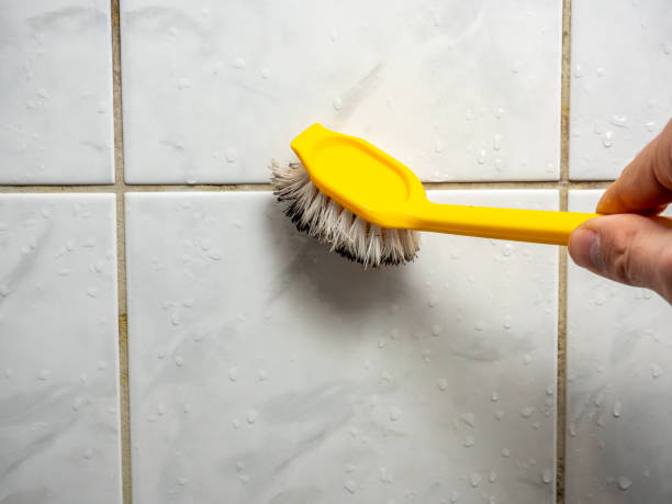 Best Office Mold Removal Services  in Parkway, CA