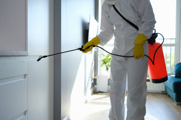 Best Mold Testing  in Parkway, CA