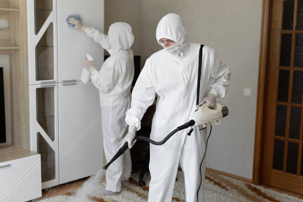 Best Black Mold Removal  in Parkway, CA